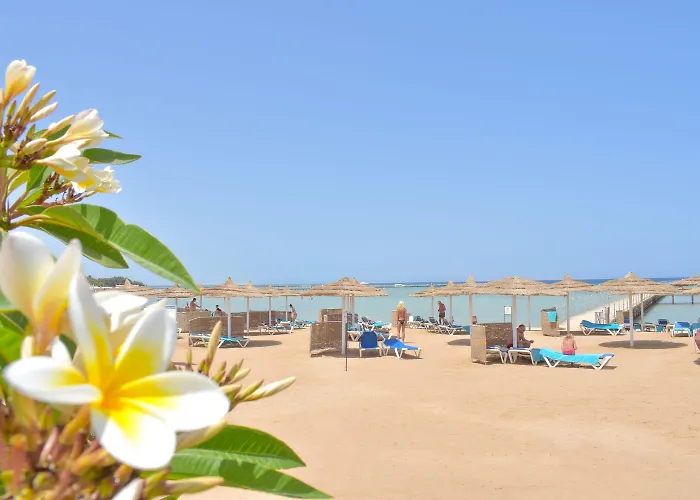Resort Jasmine Palace Hurgada